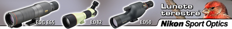 Nikon