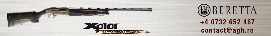 Beretta Romania
