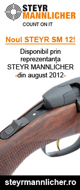 STEYR