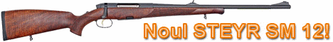 STEYR
