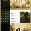 Calendarul Vinatorul.ro 2009